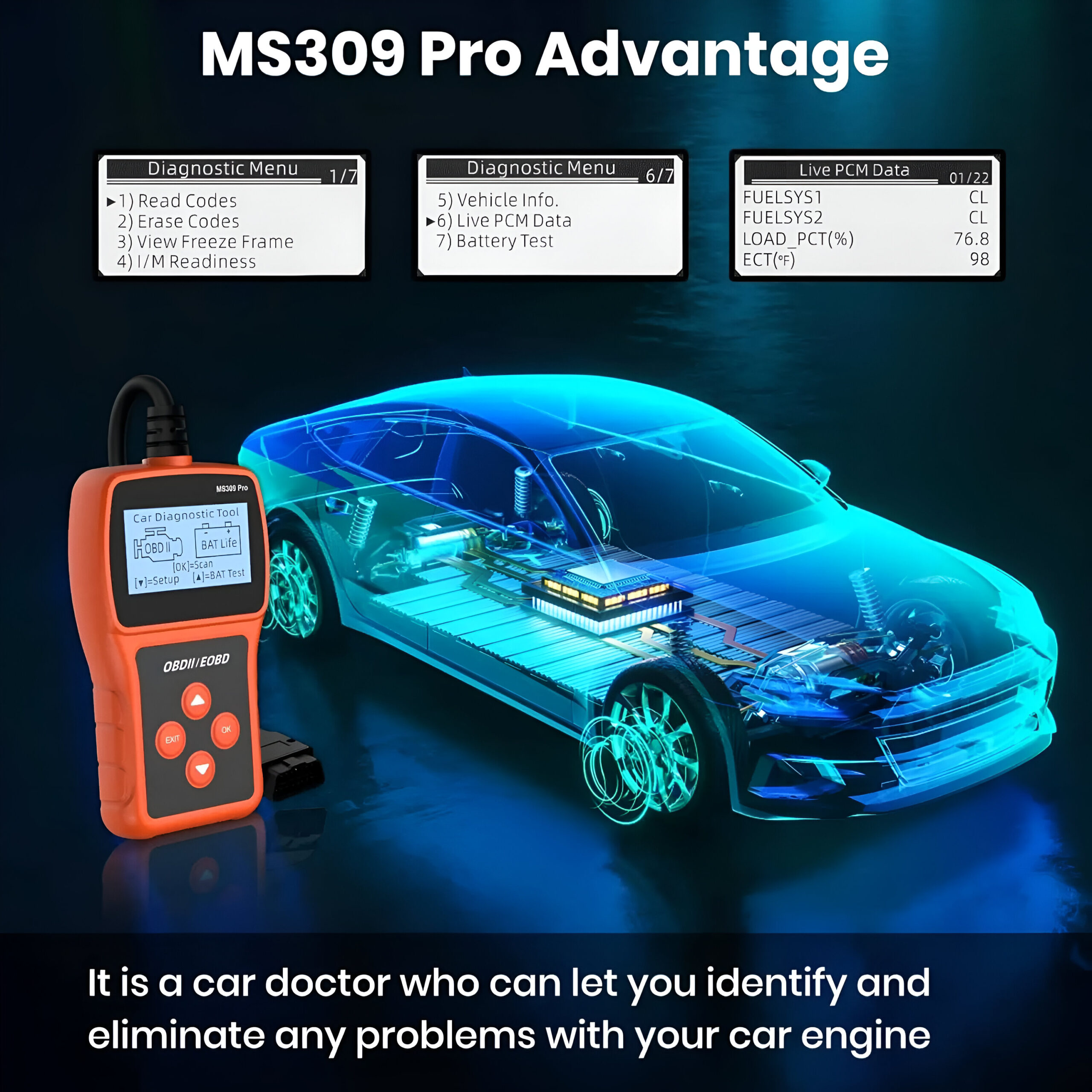 10589-ce95c3.jpg